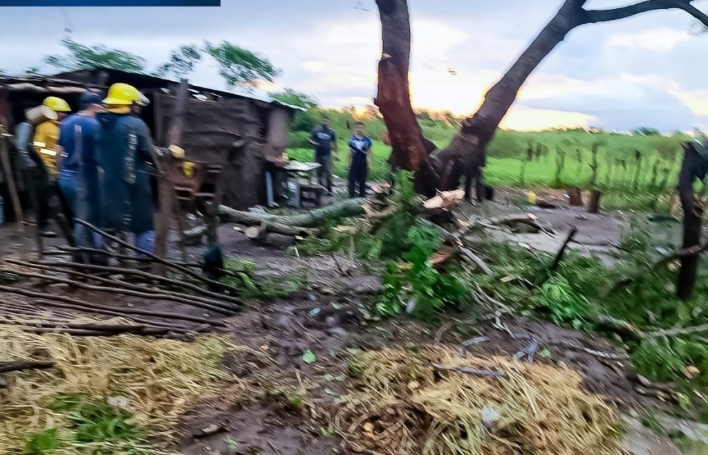 Un árbol cayó sobre un hombre y sus dos hijos; lamentablemente un niño de un año falleció