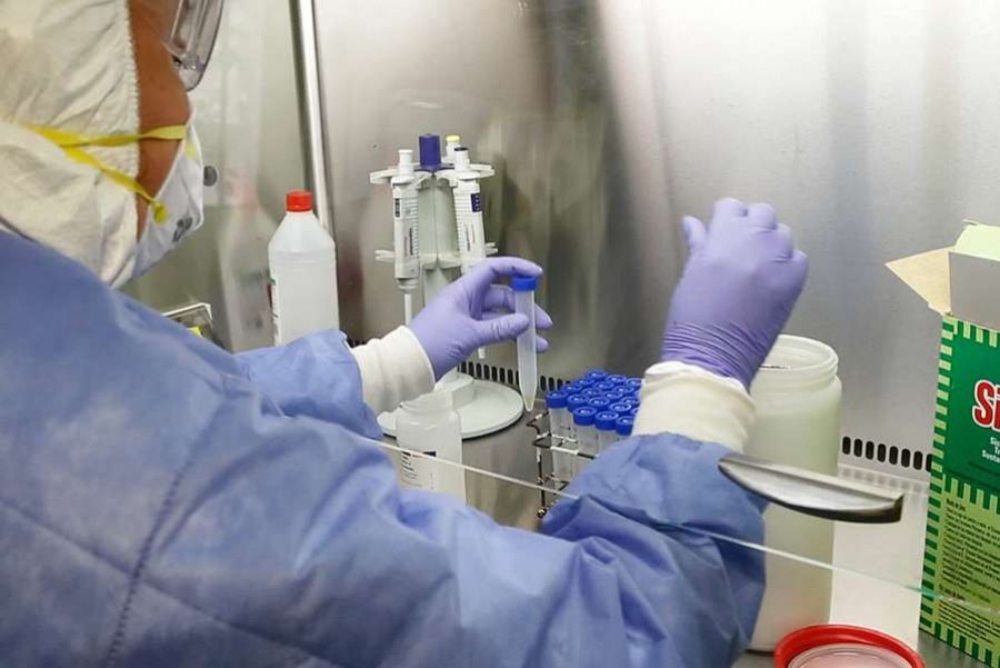 En Formosa se registraron 17 casos de coronavirus en la última semana