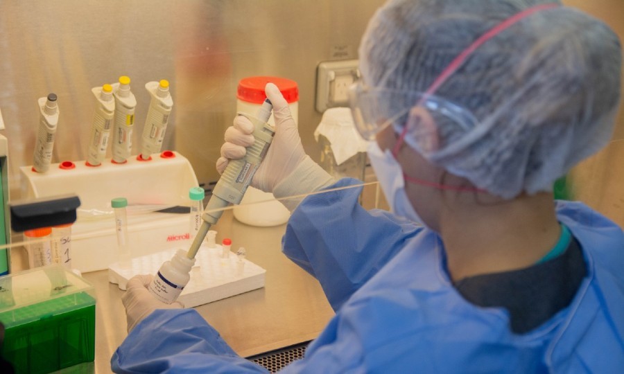 Formosa registró en la última semana 51 nuevos casos de coronavirus
