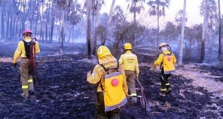 La Policía trabaja para extinguir incendios de pastizal que afecta a varios campos