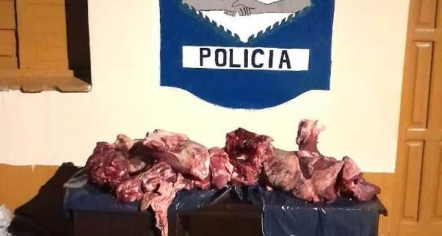 Secuestraron carne transportada en forma irregular