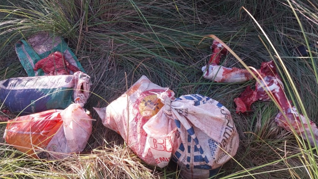 La Policía secuestró 120 kilos de carne vacuna en campo ganadero