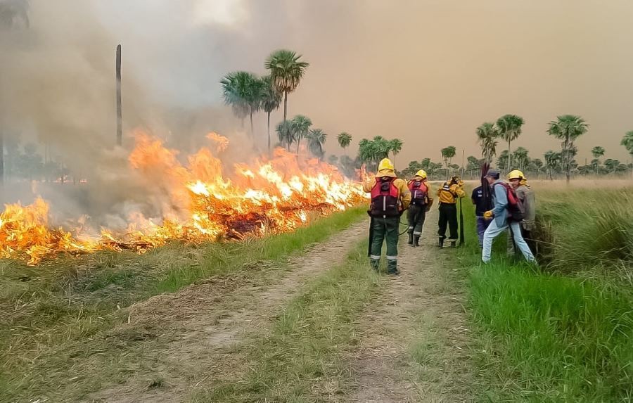 En Estero PoI:Bomberos extinguieron un incendio de grandes proporciones 