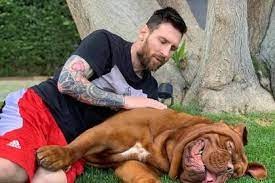 Messi reveló qué pasó con su enorme perro Hulk y dio una triste noticia