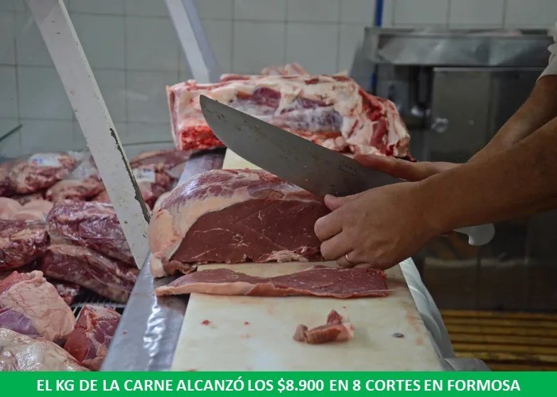 El kilogramo de la carne alcanzó los $8.900 promedio en ocho cortes, encontrándose un 50% más bajo en el interior provincial